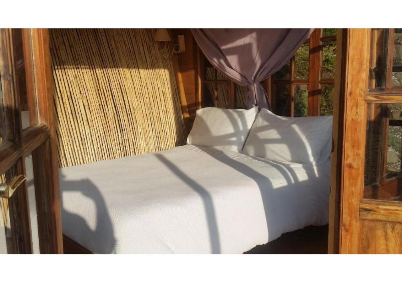 Treehouse ,Casa Arbol, With Spa Algarrobo Exterior foto